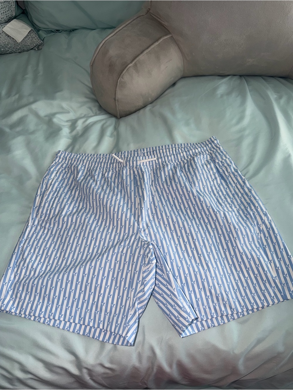 Birddogs Men’s The Bart Swimpsons Swim Trunks Blue And White Stripes